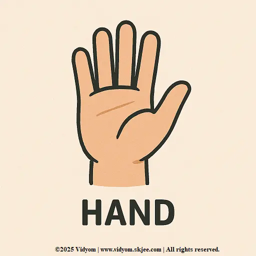 Hand body part – parts of the body for kids card