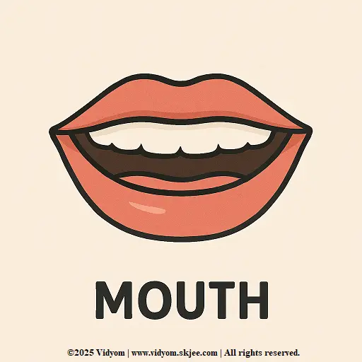 Mouth body part – body parts names for kids