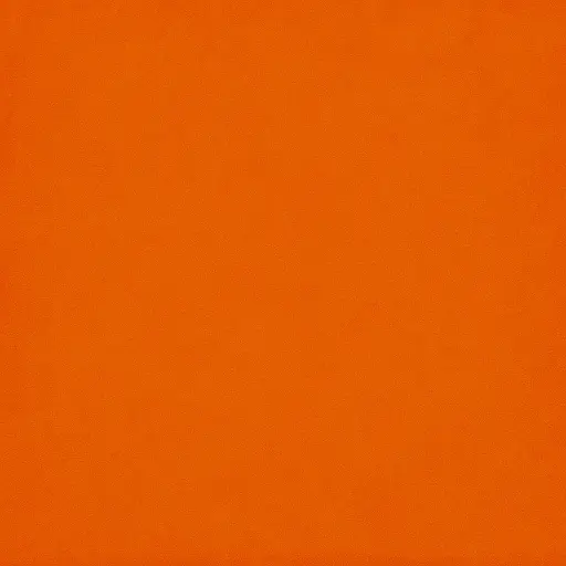 Orange colour fruit style icon