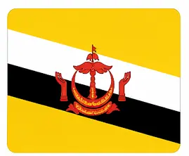 learn country flags - Brunei flag