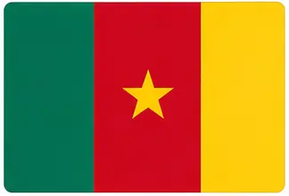 national flags for kids - Cameroon flag