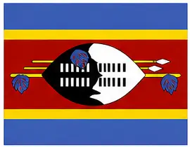 flags of the world kids - Eswatini flag