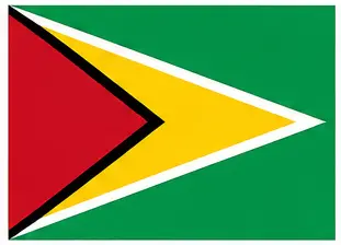country flag names - Guyana flag