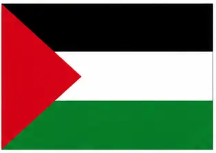 country flags with names - Palestine flag