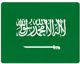 easy country flags - Saudi Arabia flag