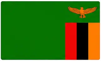 complete country flags - Zambia flag