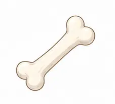 Bone facts for kids icon