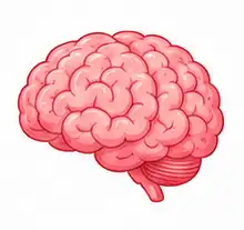 Human brain learning illustration for children
