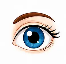 Human eye learning illustration for children