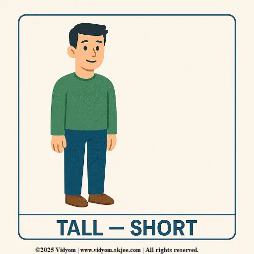 Tall and short – opposite words for kindergarten card