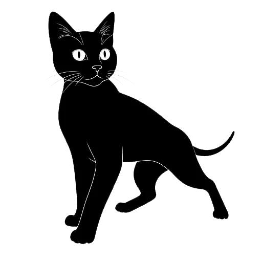 Simple cat outline on a drawing pad for kids to trace