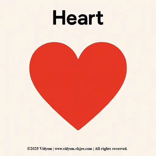 Heart shape icon for children