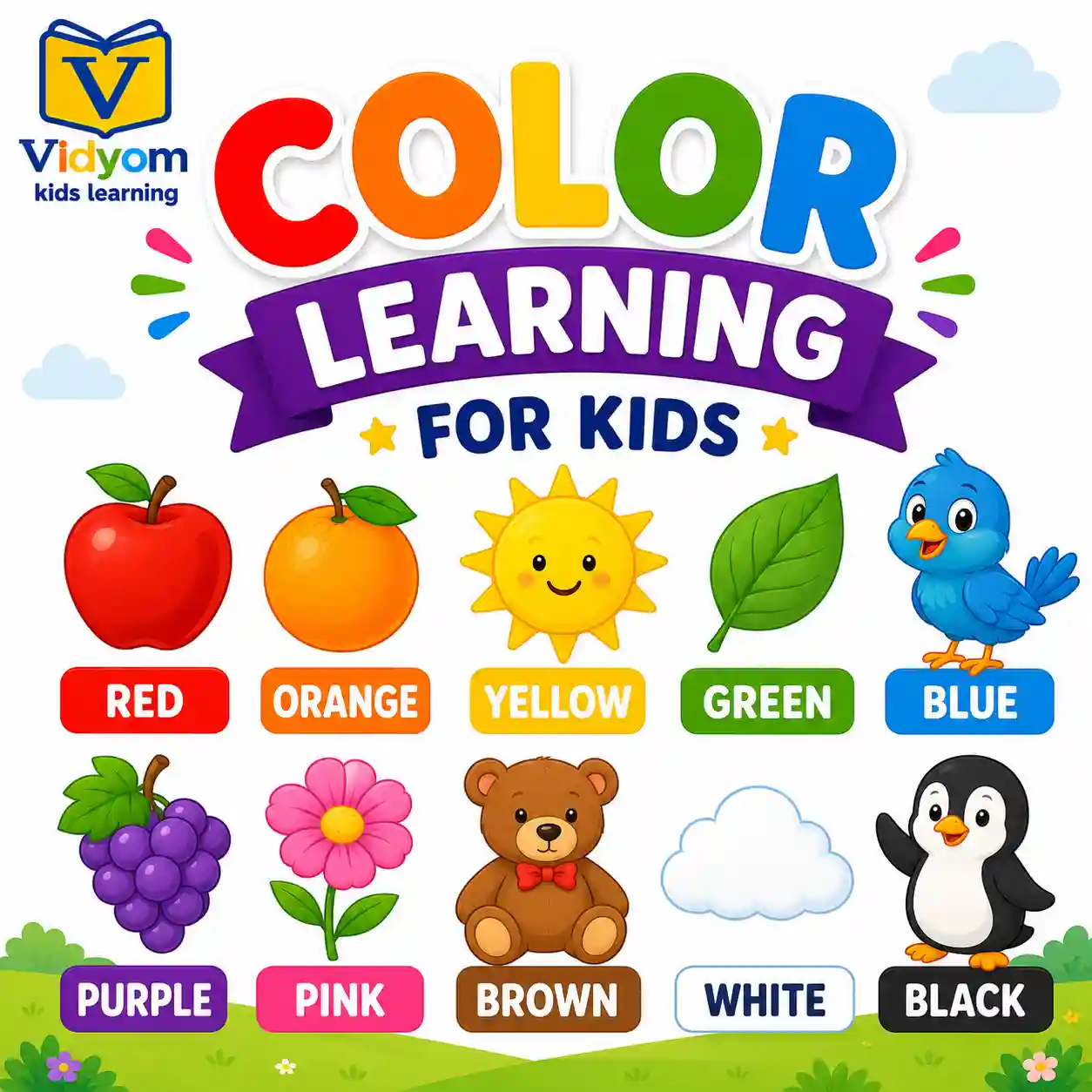 Color learning for kids with simple colour recognition and colour names practice