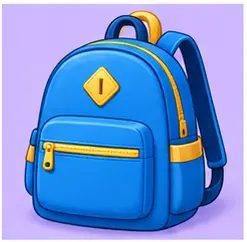 Bag for carrying everyday things