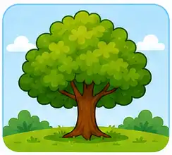 Nature vocabulary adjectives for kids