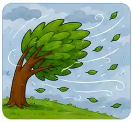 Wind and storm vocabulary for kids