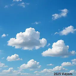 Yes or No Questions: Blue sky