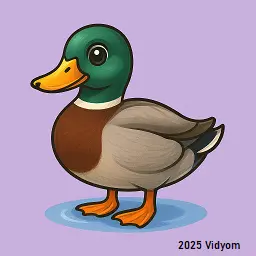 yes or no questions for kids lesson 2: Duck swimming in water
