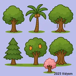 yes or no questions for kids lesson 5: Green trees in sunlight giving oxygen