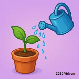 Plant being watered