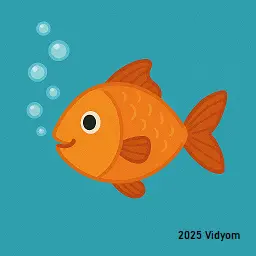 yes or no questions for kids lesson 8: Fish breathing underwater