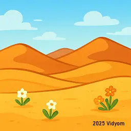 Desert with small flowers blooming