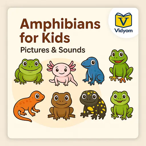 Amphibians for Kids – Learn Frog, Salamander, Axolotl, and Toad with Pictures and Sounds – Vidyom Kids Learning App