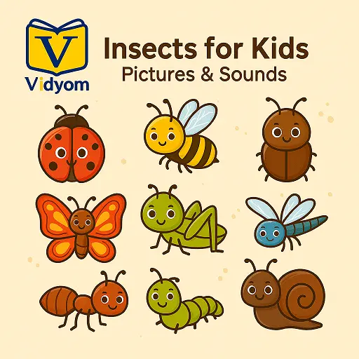 Insects for Kids – Learn Butterfly, Bee, Ant, and Ladybug with Pictures and Sounds – Vidyom Kids Learning App