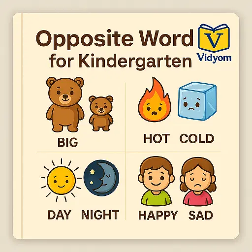 Opposite Words for Kindergarten – Learn Big and Small, Hot and Cold, Day and Night, Happy and Sad – Vidyom Kids Learning App