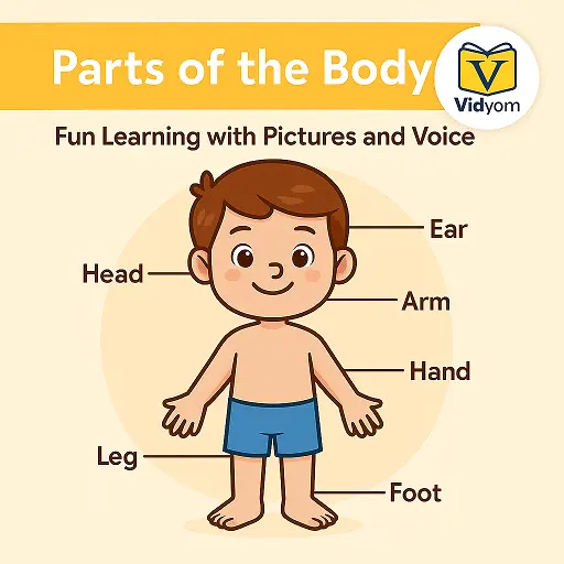 Parts of the Body – Fun Learning with Pictures and Voice – Head, Arm, Hand, Leg, and Foot – Vidyom Kids Learning App