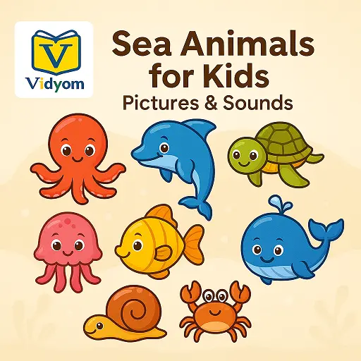 Sea Animals for Kids – Learn Dolphin, Octopus, Whale, and Crab with Pictures and Sounds – Vidyom Kids Learning App