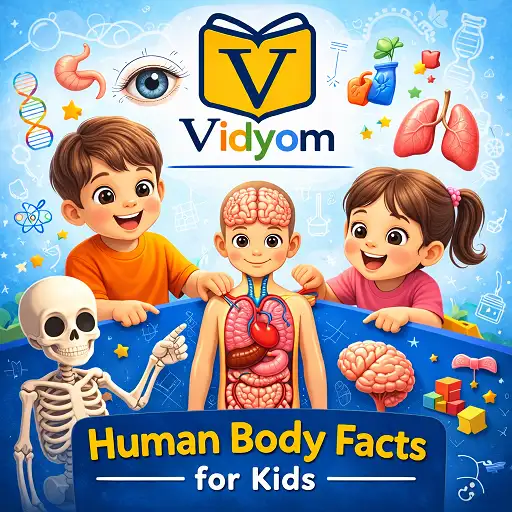 human body facts for kids hero image showing children learning about organs brain lungs and skeleton