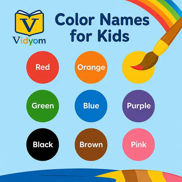 color names for kids poster with Vidyom logo, colorful circles, rainbow, and paintbrush